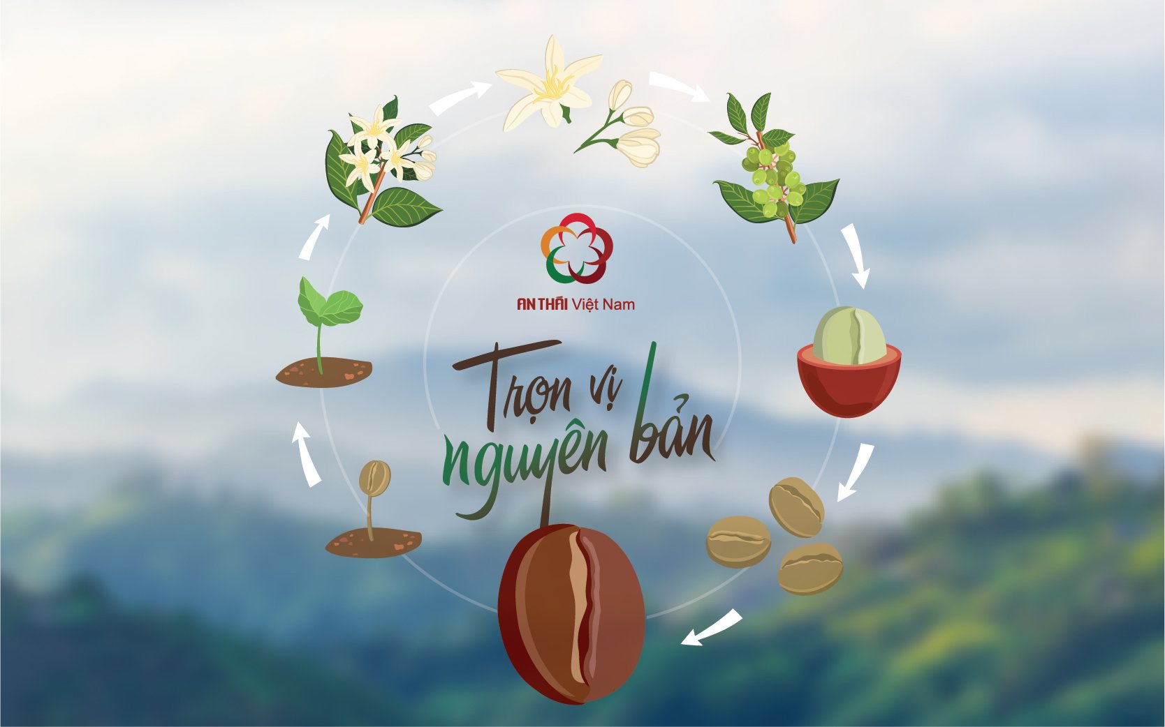 An Thai Vietnam - Original taste of organic coffee